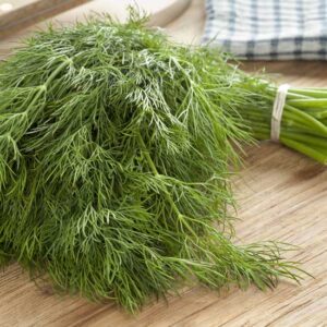 Spicy Dill Vinegar Recipe